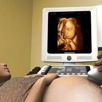 беременность на ранних стадиях