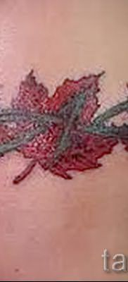 Пример необычного рисунка в готовой татуировке с кленом для записи про значение клена в тату