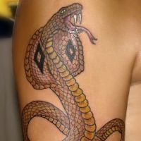 что означает тату змея 3
