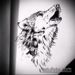 эскиз тату воющий волк №900 - достойный вариант рисунка, который успешно можно использовать для доработки и нанесения как тату волк воет на луну