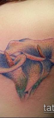 тату каллы №151 – достойный вариант рисунка, который хорошо можно использовать для преобразования и нанесения как Tattoo calla