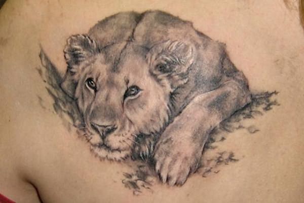 значение татуировки льва
