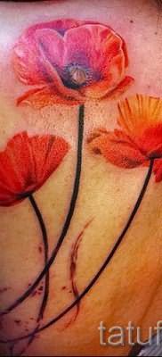 Poppies tattoo on his back – photos for an article about the importance of tattoos 2