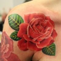 Что означает роза тату 6