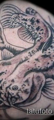 фото тату сом (catfish tattoo) (значение) – пример рисунка – 017 tatufoto.com