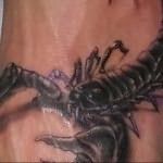 Значение татуировки скорпион 6
