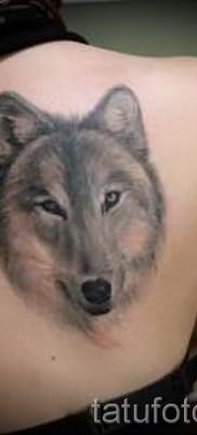 фото тату волчица для статьи про значение татуировки волчица – tatufoto.ru – 32