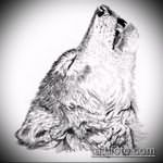 эскиз тату воющий волк №379 - крутой вариант рисунка, который успешно можно использовать для переделки и нанесения как тату воющий волк на предплечье