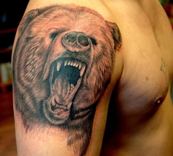 тату медведь на плече