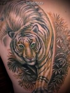 Значение татуировки тигр 3