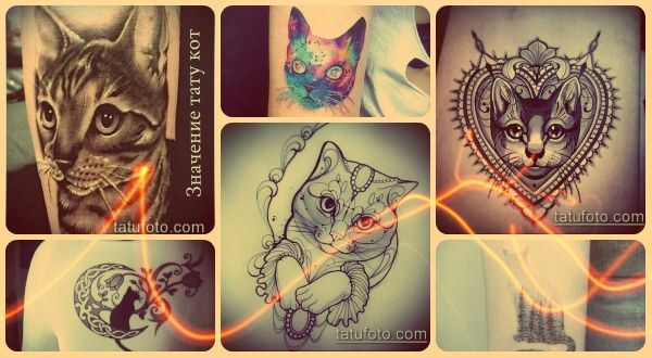 Значение тату кот и примеры интересных готовых тату на фото