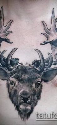 фото тату олень с рогами (tattoo) (значение) – пример рисунка – 019 tatufoto.com