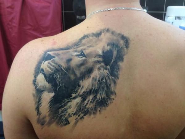 Значение татуировки льва