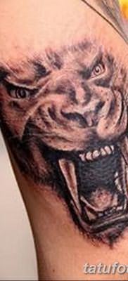 фото тату саблезубый тигр от 25.07.2017 №003 – Tattoo saber-toothed tiger