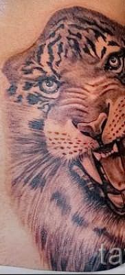 фото тату оскал тигра для статьи про значение татуировки с оскалом – tatufoto.ru – 16