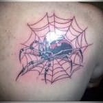 воровская татуировка паук в паутине фото