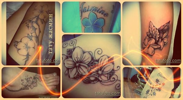 Значение тату «Жасмин» - фото примеры готовых татуировок - рисунки