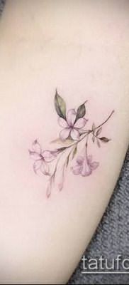 тату жасмин №883 – классный вариант рисунка, который хорошо можно использовать для переделки и нанесения как тату жасмин цветок