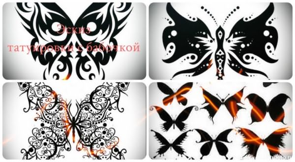 Эскиз татуировки с бабочкой