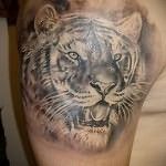 воровская татуировка Тигр