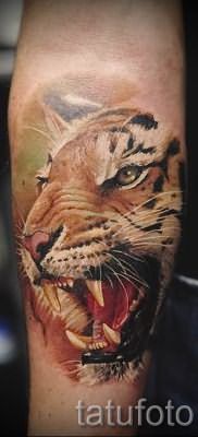 фото тату оскал тигра для статьи про значение татуировки с оскалом – tatufoto.ru – 13