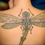 татуировка стрекоза на всю спину