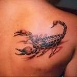 Значение татуировки скорпион 1