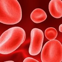 повышены эритроциты в крови
