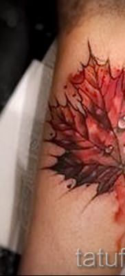 Пример необычного рисунка в готовой татуировке клен для записи про толкование клена в татуировке