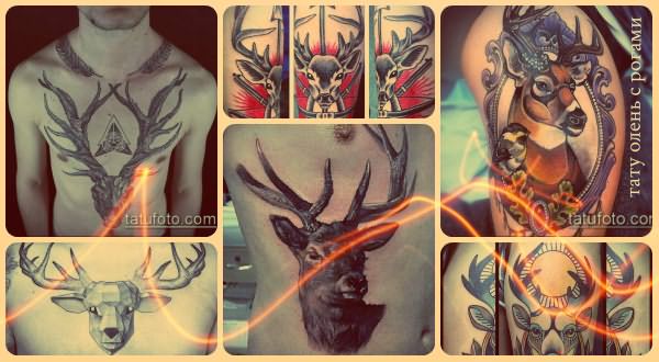 Значение тату олень с рогами - фото варианты рисунков для тату
