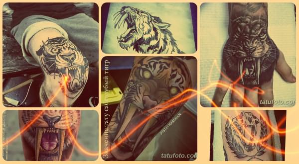Значение тату саблезубый тигр - коллекция фото готовых татуировок