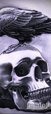 ворон на черепе тату (значение) – пример интересного рисунка тату – 013 tatufoto.com