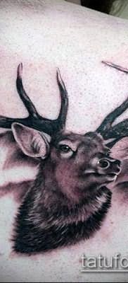 фото тату олень с рогами (tattoo) (значение) – пример рисунка – 022 tatufoto.com