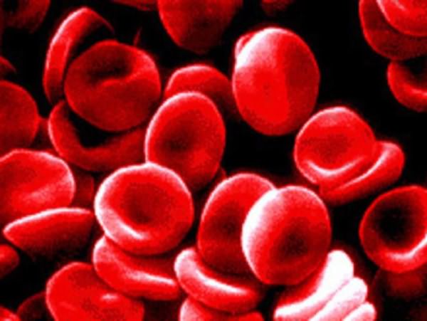 группы крови человека резус фактор