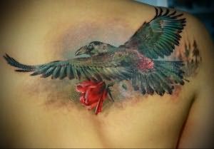 Значение татуировки ворон 1