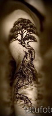 Тату дерево жизни фото для статьи про значение татуировки 11