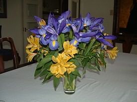 Blue iris and yellow alstroemeria (26116771).jpg