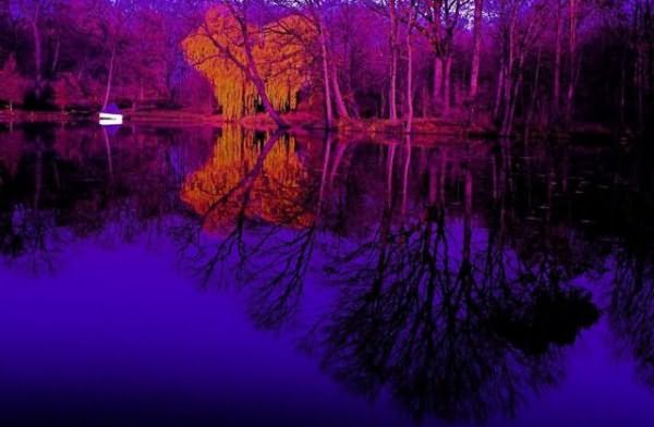 Сочетание цветов фиолетовый8 (640x419, 236Kb)