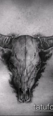 тату череп быка фото (значение) – пример интересного рисунка тату – 041 tatufoto.com