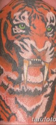 фото тату саблезубый тигр от 25.07.2017 №011 – Tattoo saber-toothed tiger