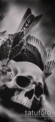 ворон на черепе тату (значение) – пример интересного рисунка тату – 015 tatufoto.com