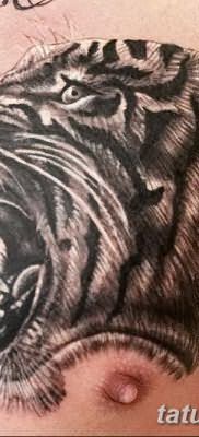фото тату саблезубый тигр от 25.07.2017 №041 – Tattoo saber-toothed tiger