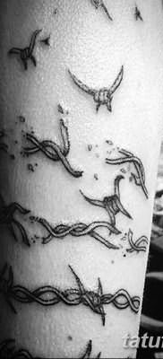 фото тату колючая проволока от 26.07.2017 №075 – Tattoo barbed wire_tatufoto.com