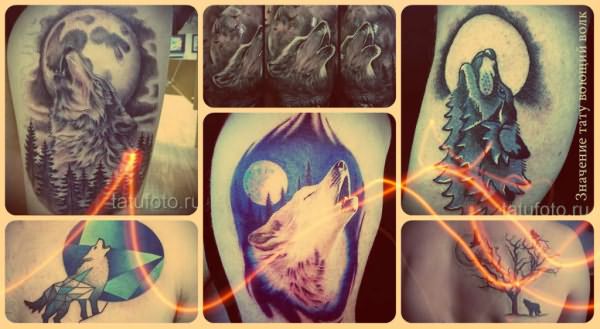 Значение тату воющий волк - тематическая информация и фото готовых татуировок