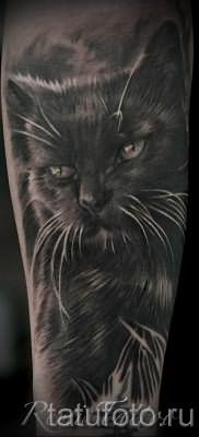 фото тату с черной кошкой для статьи про значение татуировки – tatufoto.ru – 8