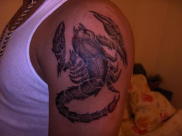 татуировка скорпион значение в армии