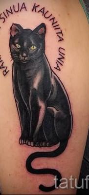 фото тату с черной кошкой для статьи про значение татуировки – tatufoto.ru – 54