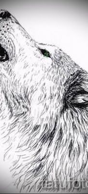 фото тату воющий волк для статьи про значение тату воющий волк – tatufoto.ru – 5