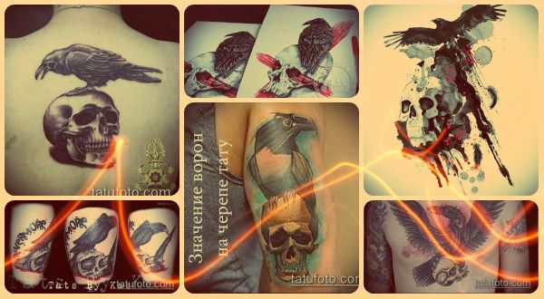 Значение ворон на черепе тату - фото примеры готовых тату