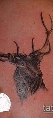 фото тату олень с рогами (tattoo) (значение) – пример рисунка – 038 tatufoto.com